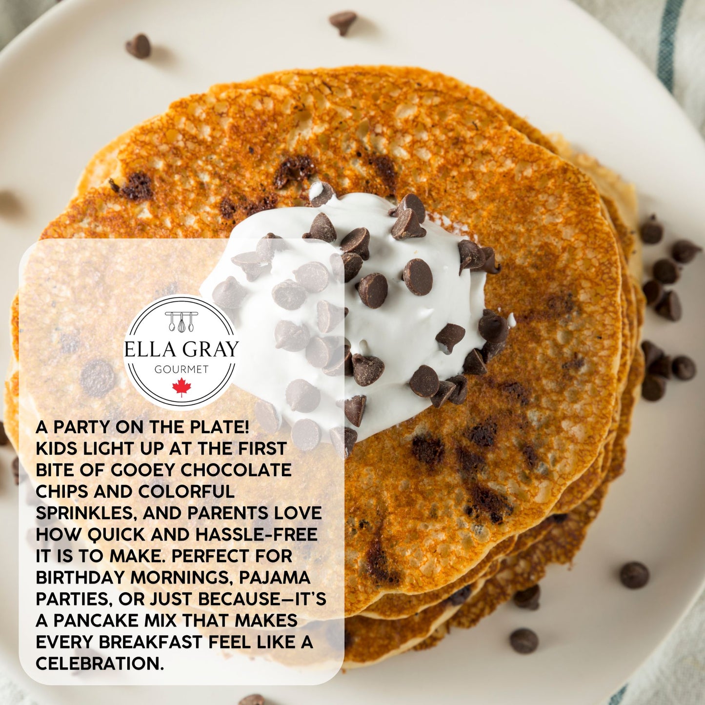 CHOCOLATE CHIP PANCAKE MIX