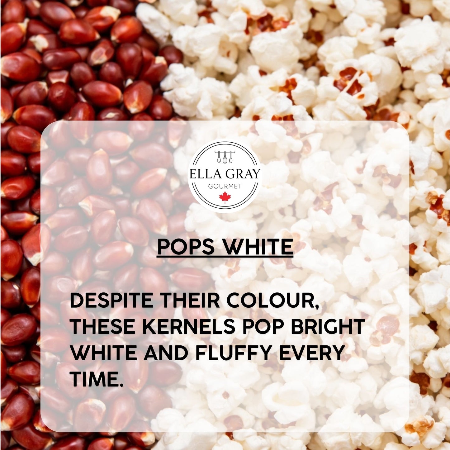 Popcorn Kernels - Red GMO FREE