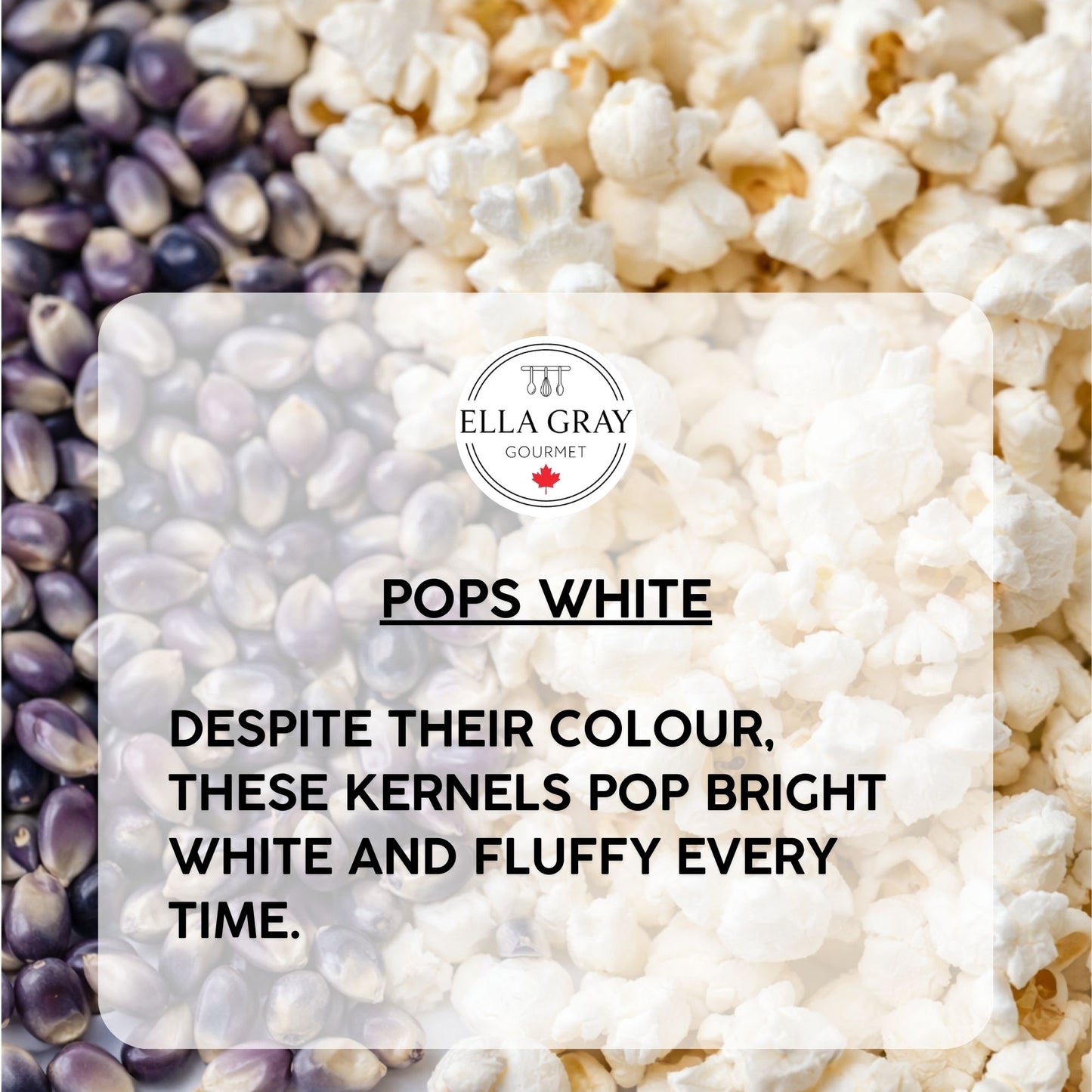 Popcorn Kernels - Purple -GMO FREE